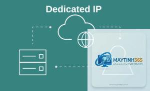 Dedicated IP là gì