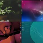 Desktop Environment là gì? Giải mã toàn bộ môi trường máy tính để bàn cho người mới bắt đầu Desktop Environment là gì