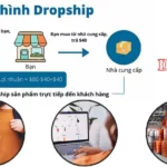 Drop Shipping System là gì