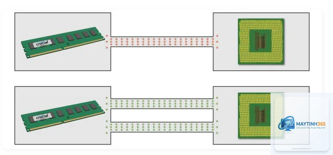 Dual Channel là gì - Hình 3