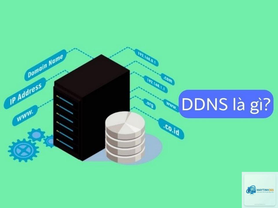 Dynamic DNS là gì - Hình 2