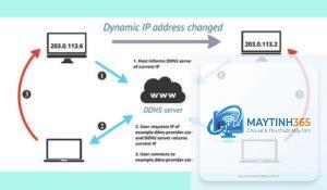 Dynamic DNS là gì