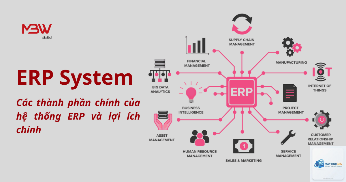 ERP System là gì - Hình 4