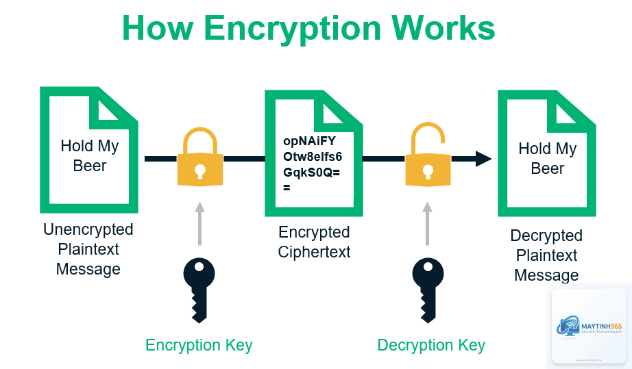 Encryption là gì - Hình 2