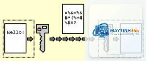 Encryption là gì