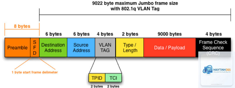Ethernet Frame là gì - Hình 2