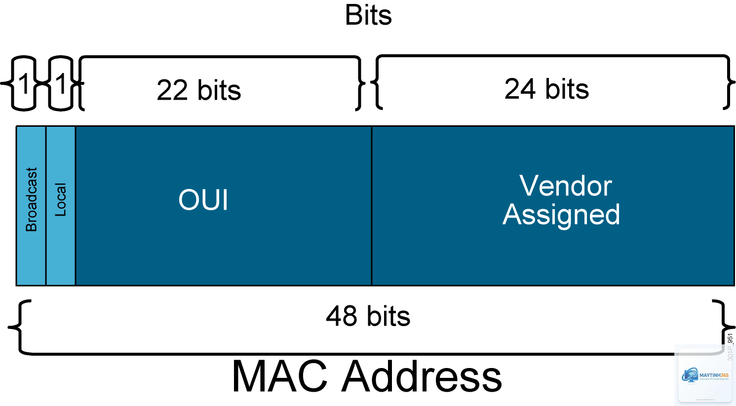 Ethernet Frame là gì - Hình 3