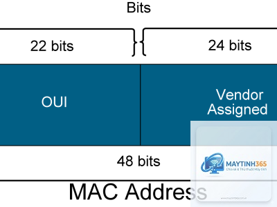 Ethernet Frame là gì - Hình 4