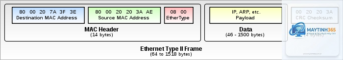 Ethernet Frame là gì