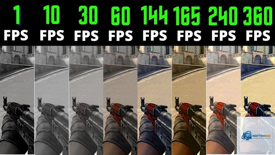 FPS là gì