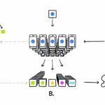Federated Learning là gì? Giải pháp đào tạo AI bảo vệ dữ liệu cá nhân toàn diện nhất Federated Learning là gì
