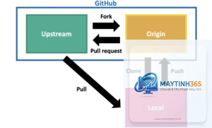 Git Fork là gì