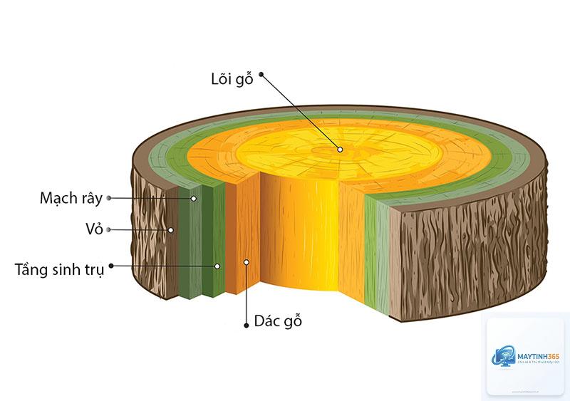 Go là gì - Hình 2