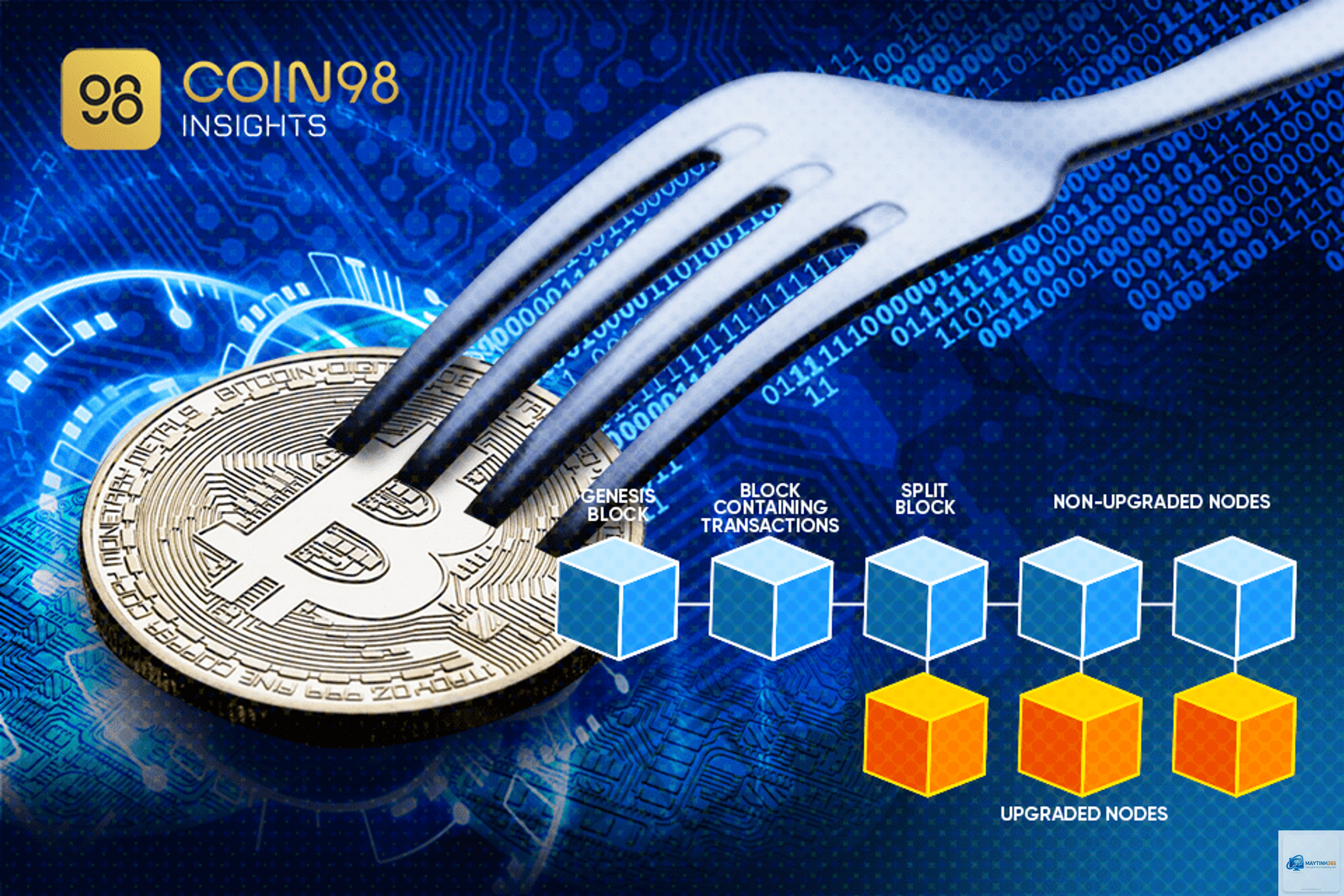 Hard Fork là gì - Hình 2