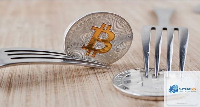 Hard Fork là gì - Hình 3