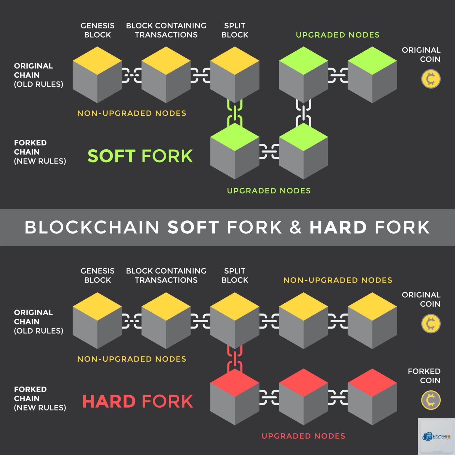 Hard Fork là gì - Hình 4