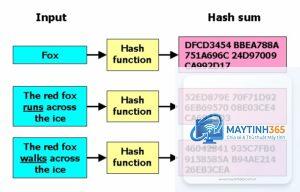 Hash là gì