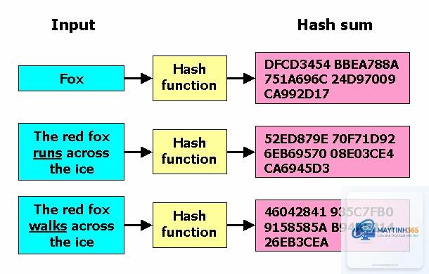 Hash là gì