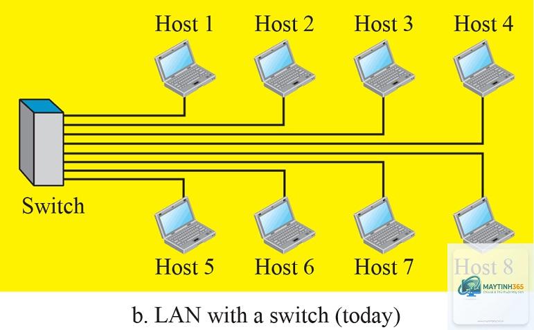 Host là gì