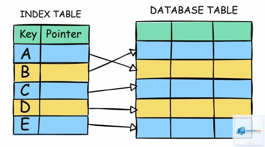 Index Database là gì