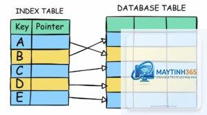 Index Database là gì