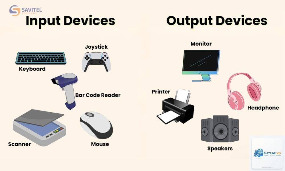 Input Device là gì