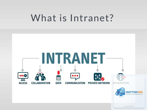 Intranet là gì - Hình 2