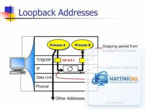 Loopback Address là gì