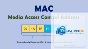 MAC Address là gì