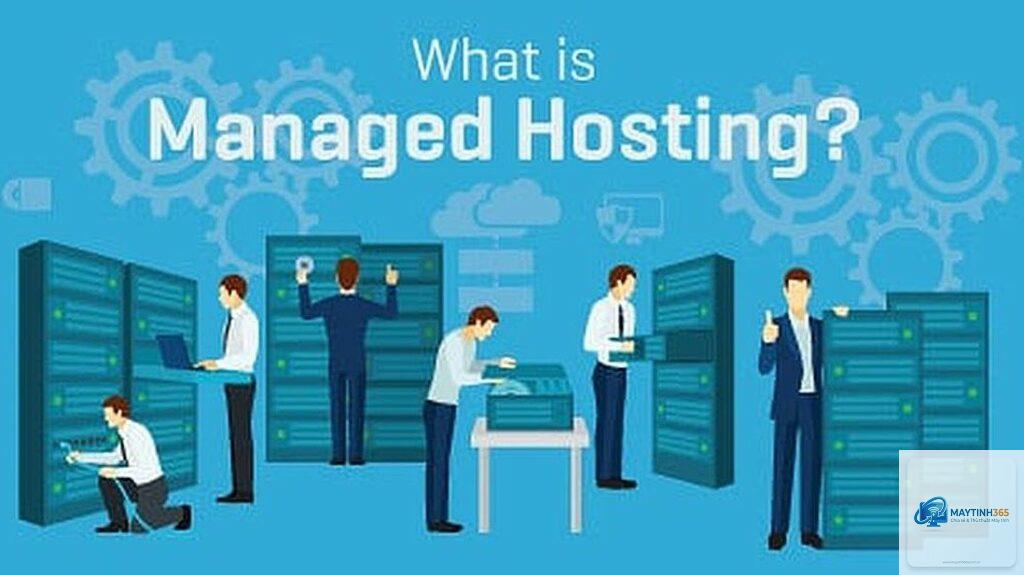 Managed Hosting là gì