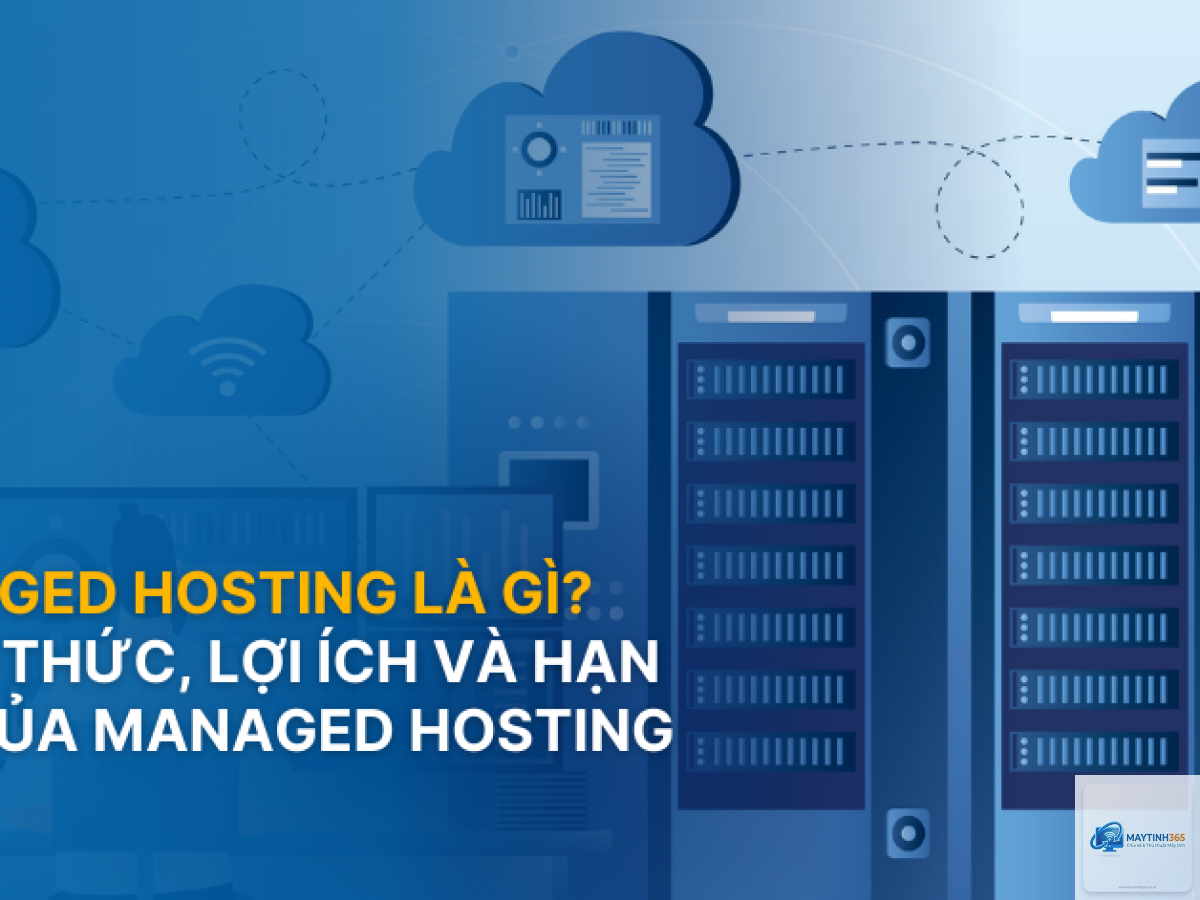 Managed Hosting là gì - Hình 3