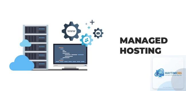Managed Hosting là gì - Hình 4