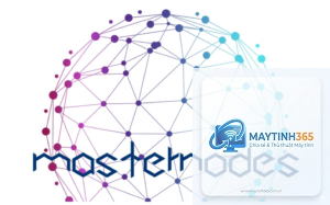 Master Node là gì