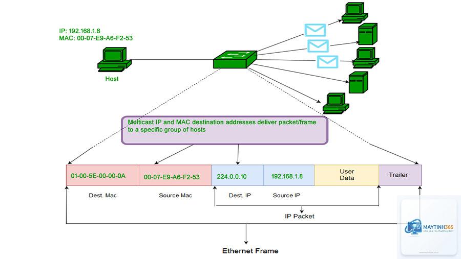 Media Access Control là gì - Hình 4