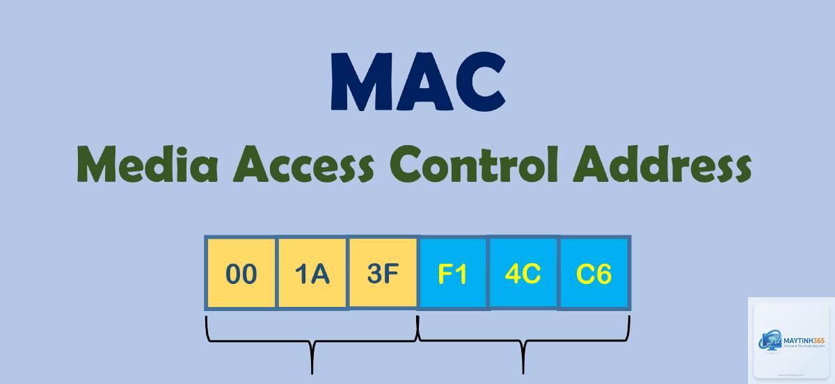 Media Access Control là gì - Hình 1