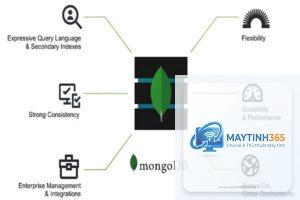MongoDB là gì