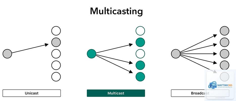 Multicast là gì - Hình 3