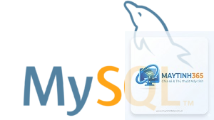 MySQL là gì