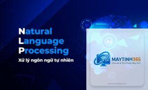 Natural Language Processing là gì