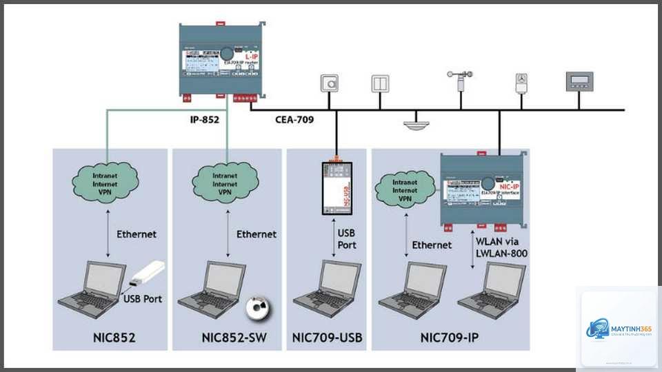 Network Adapter là gì - Hình 2