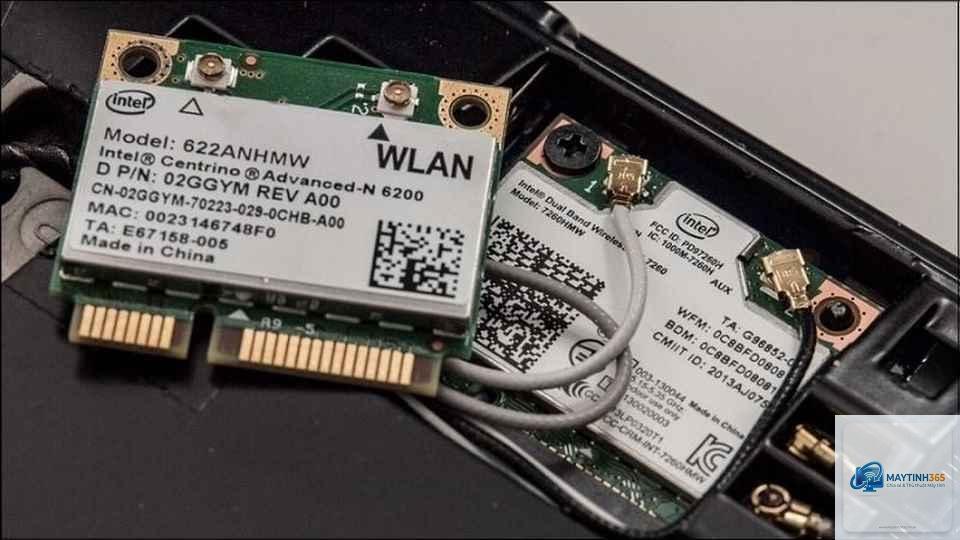 Network Adapter là gì - Hình 4
