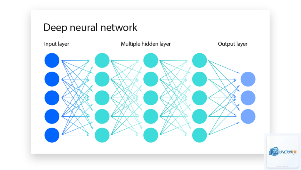 Neural Network là gì