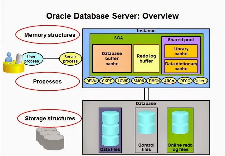 Oracle Database là gì - Hình 3