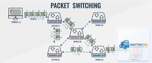 Packet là gì - Hình 2