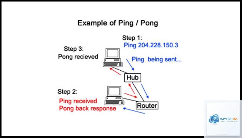 Ping là gì - Hình 3