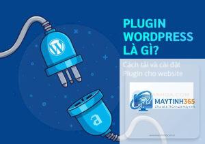 Plugin WordPress là gì