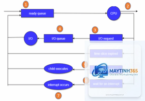 Process Scheduler là gì