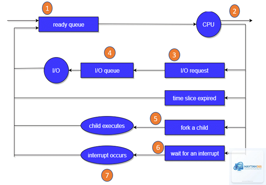 Process Scheduler là gì