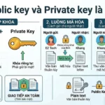Public Key là gì? Giải mã khái niệm cốt lõi trong bảo mật số và tiền điện tử Public Key là gì