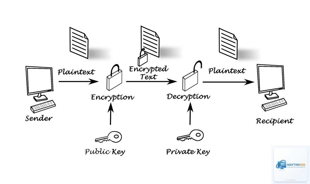 Public Key là gì - Hình 3